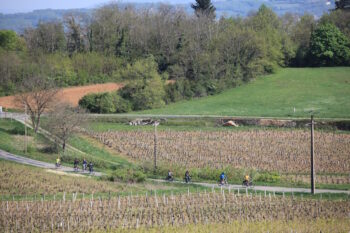 Rallye Vélo à Assistance Électrique dans le Beaujolais