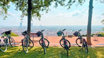 Visite à vélo électrique "Les 2 collines" - 2h - jardin des curiosités - Lyon